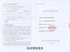 科技查新报告