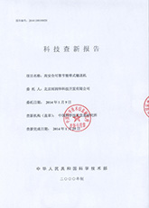 01科技查新报告