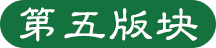 第五版块